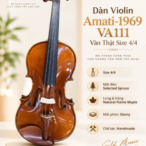 dan violin amati 1969 va111