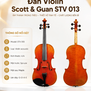 dan violin scott guan stv 013