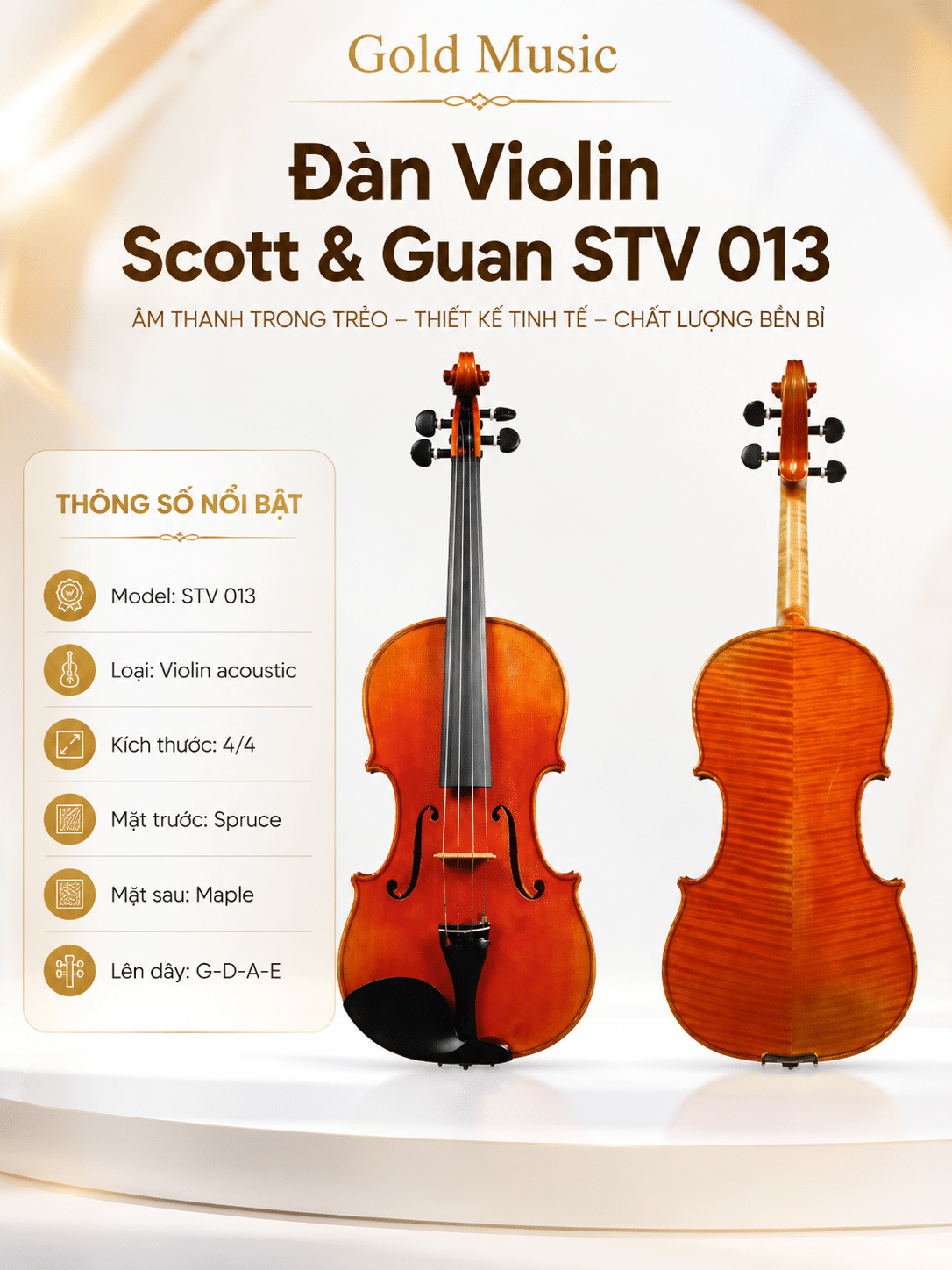Đàn Violin Scott & Guan STV 013 dan violin scott guan stv 013