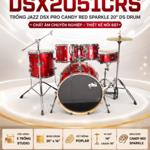 dsx2051crs 5