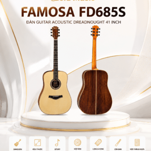 dan guitar acoustic famosa fd685s