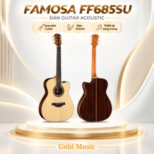 dan guitar acoustic famosa ff685su