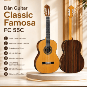 dan guitar classic famosa fc 55c