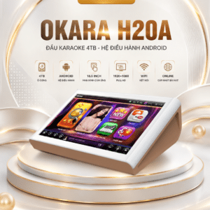 h20a dau karaoke 6tb 1