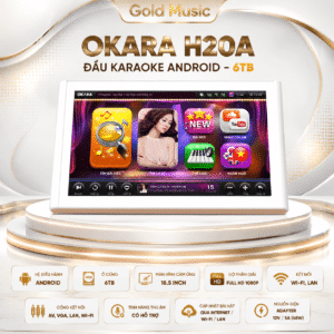 h20a dau karaoke 6tb 2