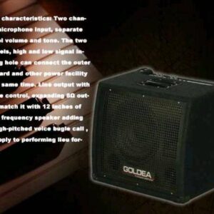 Keyboard Amplifier Goldea KB-80 keyboard amplifier goldea kb 80