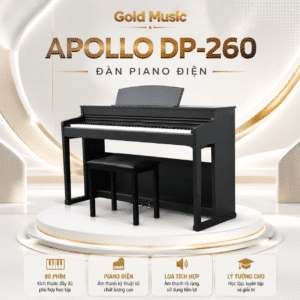 dan piano dien apollo dp 260 3