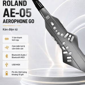 roland ae 05 ken dien tu