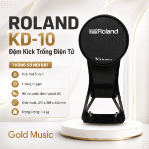roland kd 10 dem kick dien tu