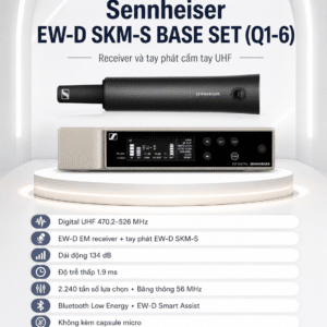 ew d skm base set q1 6 5
