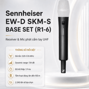 ew d skm s base set r1 6 3