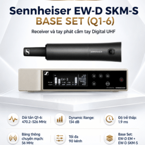ew d skm s base set q1 6 6