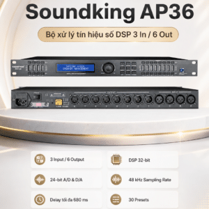 soundking ap36