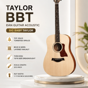 taylor dan guitar acoustic bbt