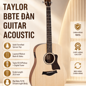 taylor dan guitar acoustic bbte 5