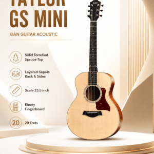 GS MINI E