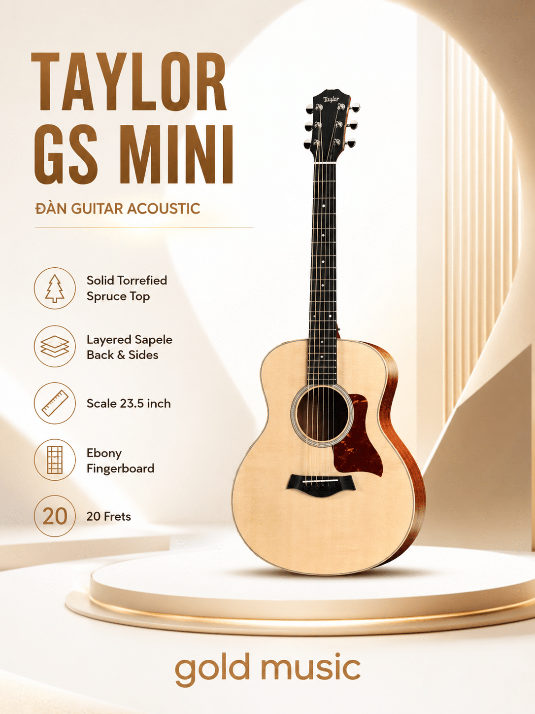 TAYLOR GS MINI ĐÀN GUITAR ACOUSTIC taylor gs mini guitar acoustic