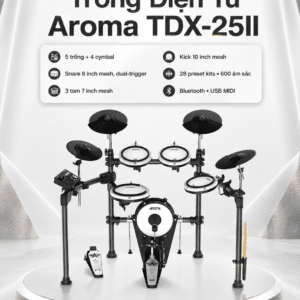 trong dien tu aroma tdx 25ii 3