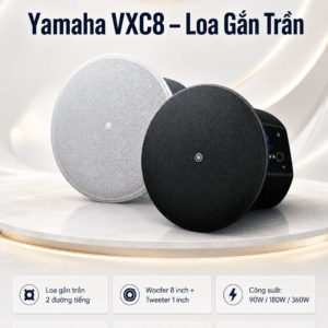 vxc8 4