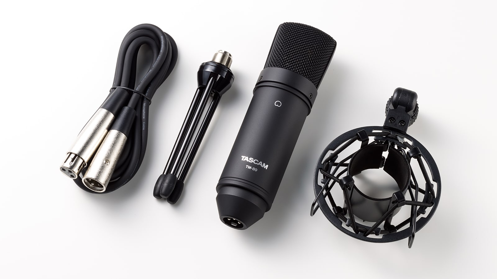 ascam tm 80 micro thu am condenser 1