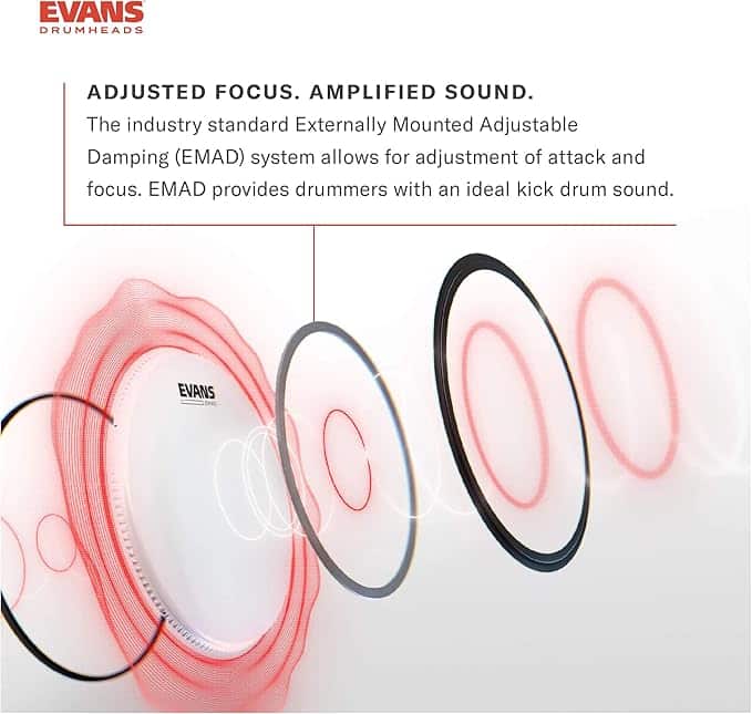 daddario evans bd22emadonx mat trong bass 1 daddario evans bd22emadonx mat trong bass 1