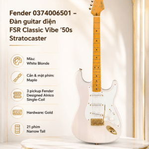 fender 0374006501 dan guitar dien fsr classic vibe 4