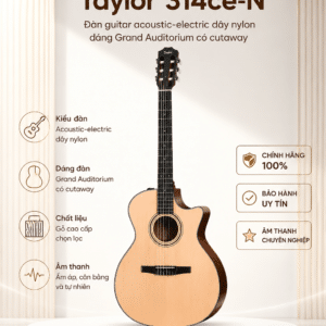 taylor 314ce n dan guitar acoustic electric day nylon 3