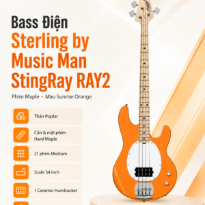 bass dien sterling by music man stingray