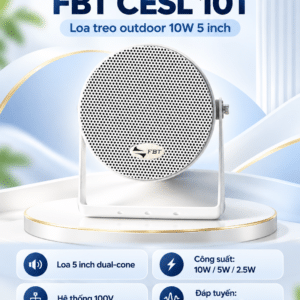 cesl 10t 4