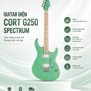 guitar dien cort g250 spectrum