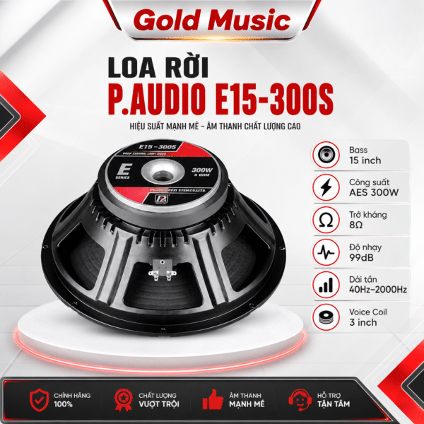 loa roi p audio e15 300s