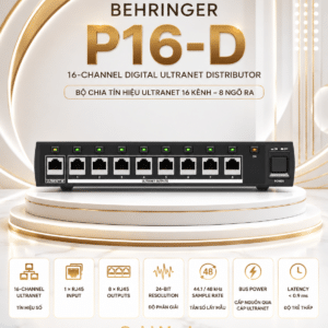 p16 d 4