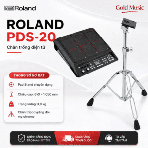 roland pds 20 chan dien tu