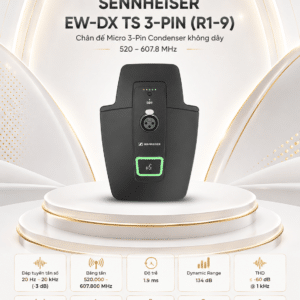 ew dx ts 3 pin r1 9 7