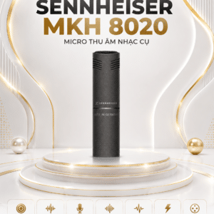 mkh 8020 4