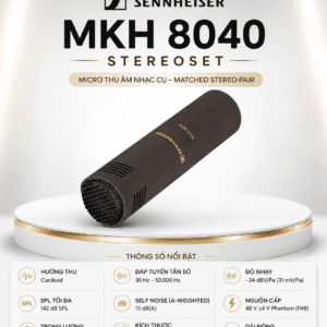 mkh 8040 stereoset 5