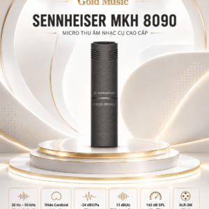 mkh 8090 4