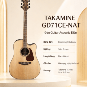 takamine gd71ce nat guitar acoustic
