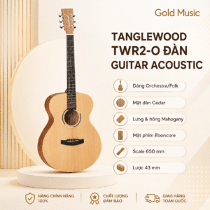 tanglewood twr2 0
