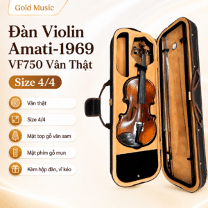 dan violin amati 1969 vf750 van that size 4