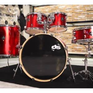 dsx2051crs2