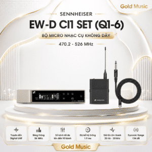 ew d ci1 set q1 6 5