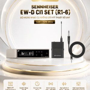 ew d ci1 set r1 6 micro