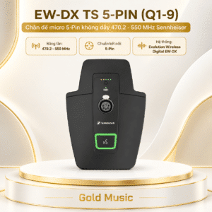 ew dx ts 5 pin