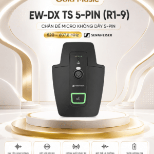 ew dx ts 5 pin r1 9