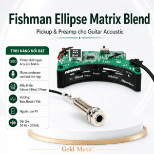 fishman ellipse matrix blend pickup