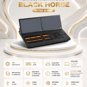 black horse