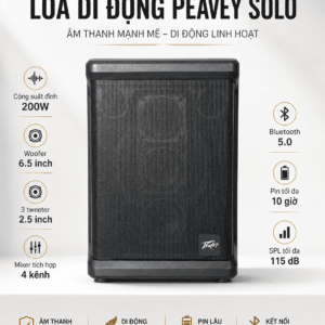 loa di dong peavey solo