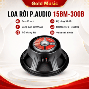 loa roi p audio 15bm 300b