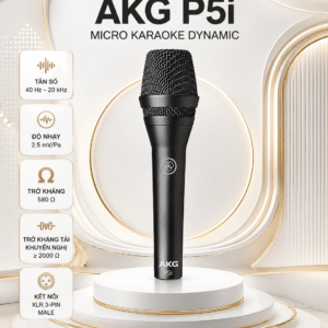p5i 4